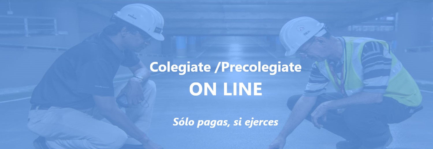 Colegiate